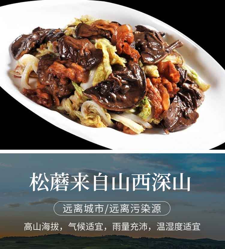 松蘑_07.jpg